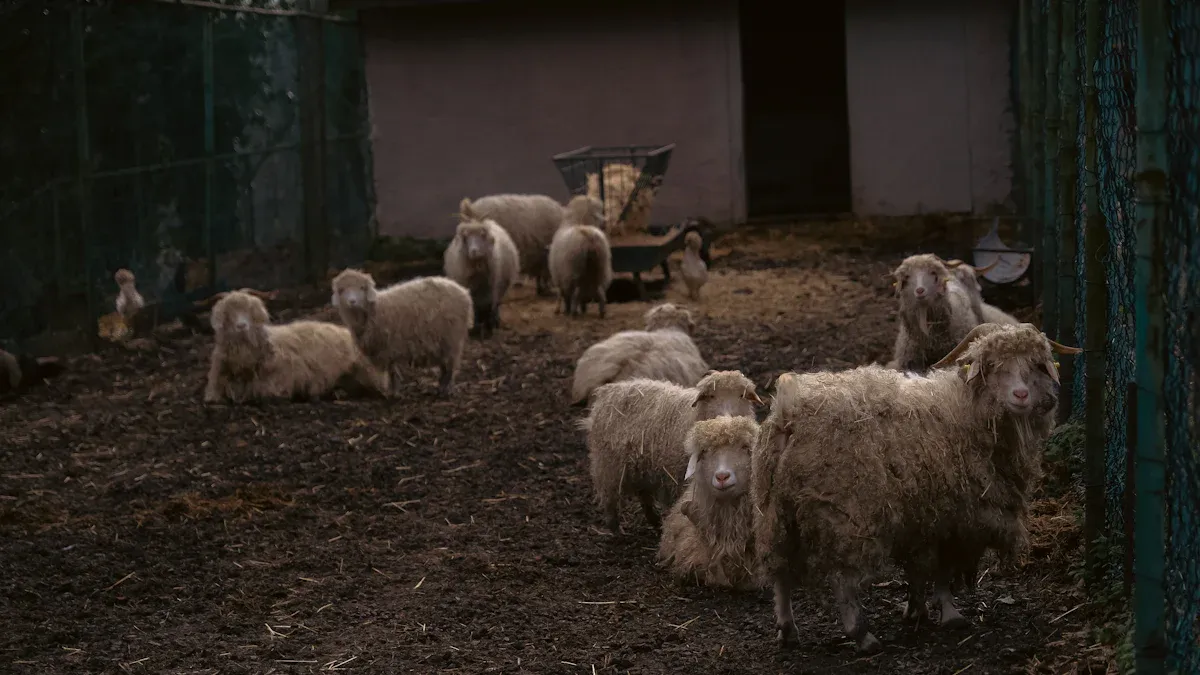 What Is Superwash Wool and How Is It Made