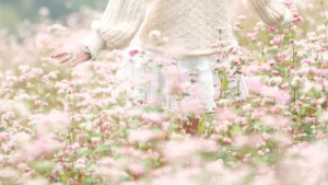 Top 10 New Zealand Knitwear Brands and Manufacturer behind them