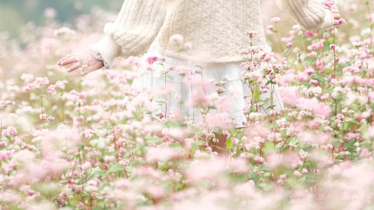 Top 10 New Zealand Knitwear Brands and Manufacturer behind them