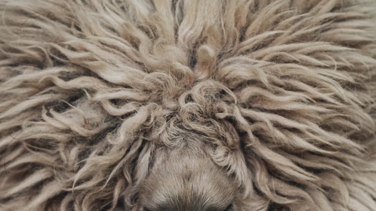 Lana Wool Fabric Overview