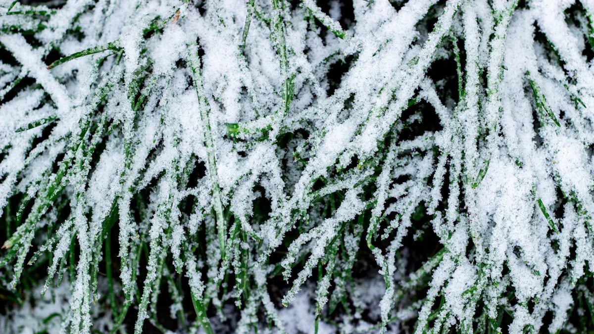Best Fabrics by Climate