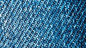 French Terry vs Jersey Knit Which Fabric Is Right for You