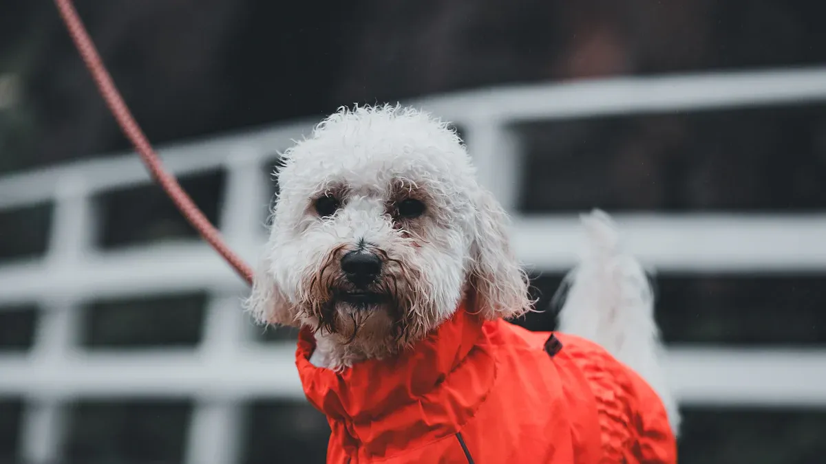 Animal Welfare & Traceability
